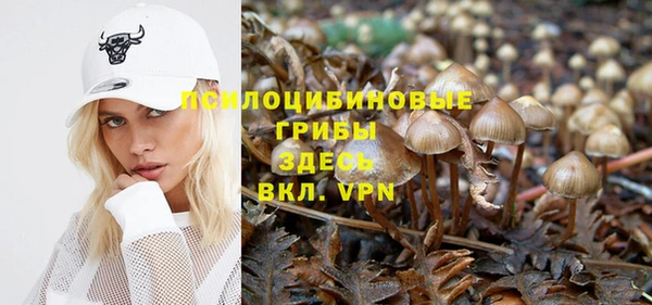 сатива Алзамай