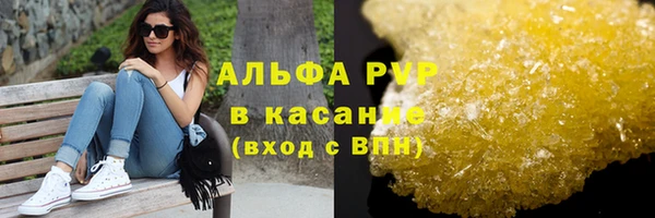 сатива Алзамай