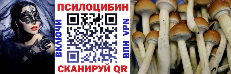 Галлюциногенные грибы Cubensis  Сосенский 